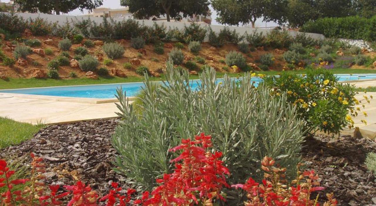 Flamingo Apartments Портиман Экстерьер фото
